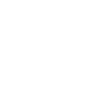 CogniDash